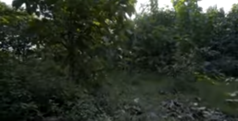 Screenshot_9